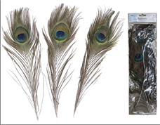 נוצות טווס 30 ס"מ 3 יחידות