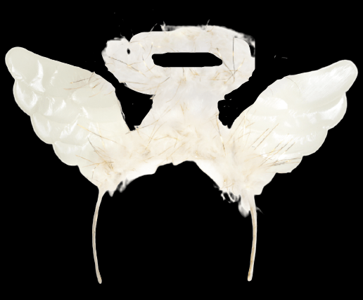 קשת מלאכית לבנה עם כנפיים